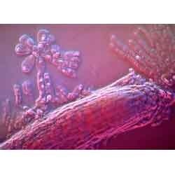 > </div>
<div class=